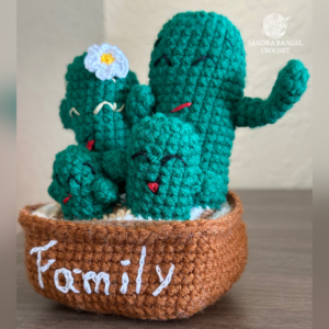 Cacti Family1