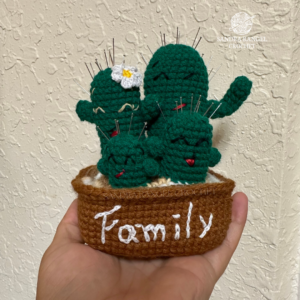 Cacti Family3